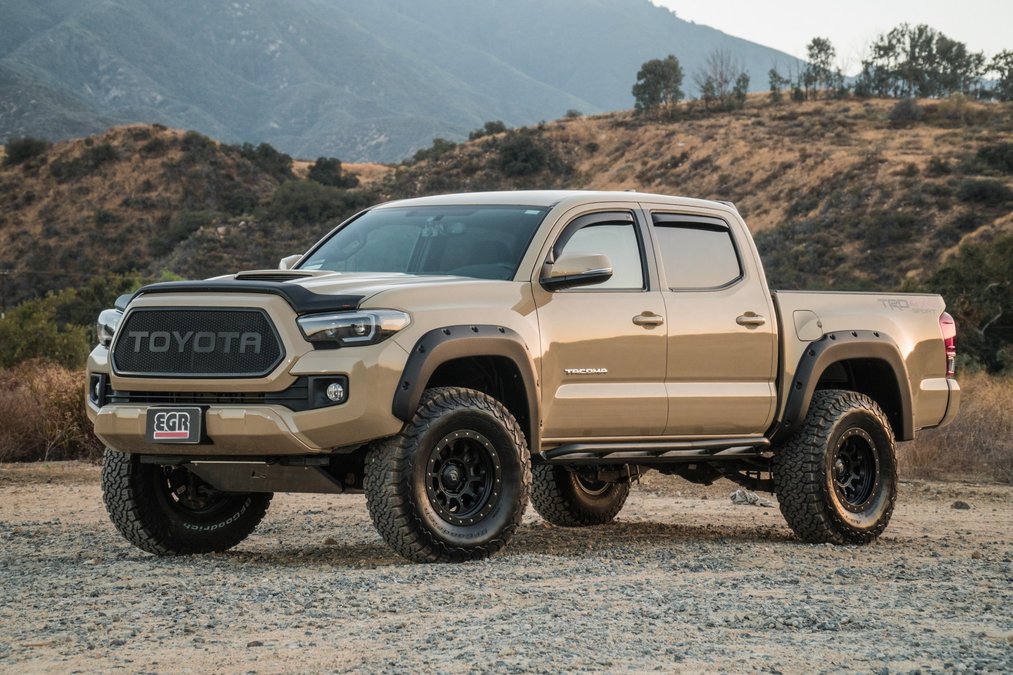 toyota tacoma bug shield